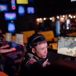 Pro Gaming Headset