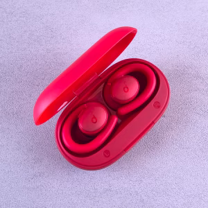 True Wireless Stereo Earbuds